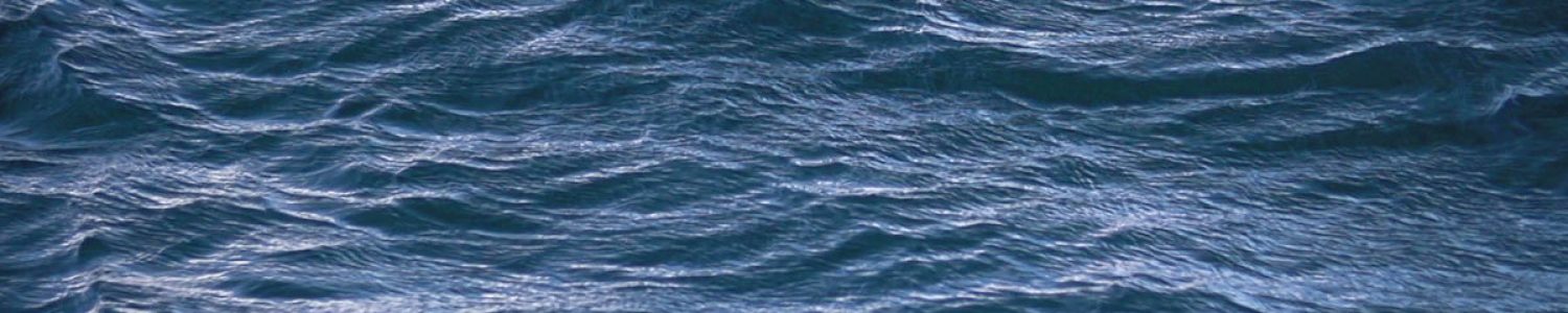 Semester At Sea 2019 Voyage